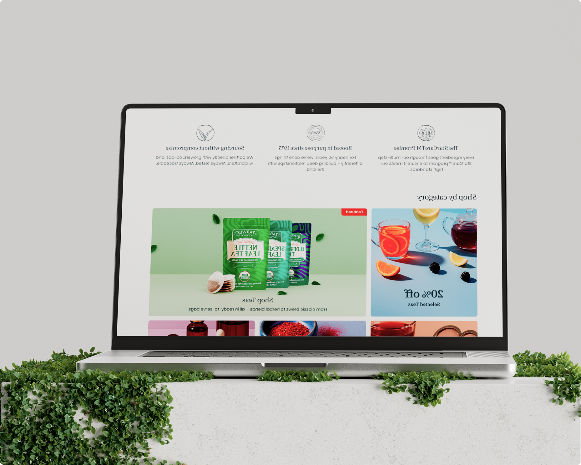 design-development