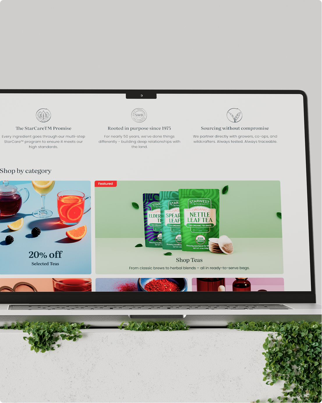 website-design-and-build